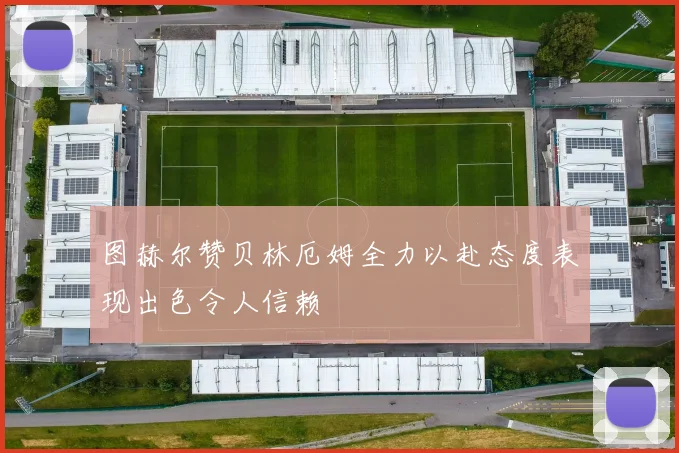 图赫尔赞贝林厄姆全力以赴态度表现出色令人信赖