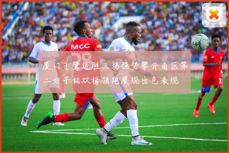 厦门飞鹭连胜三场强势攀升南区第二刘子铭双榜领跑展现出色表现