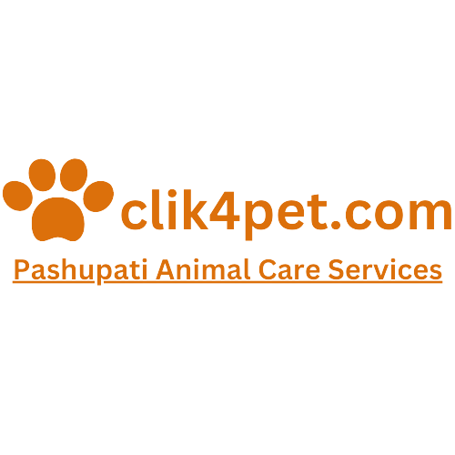 clik4pet, created by veterinary doctors