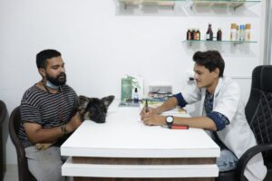 ved veterinary hospital