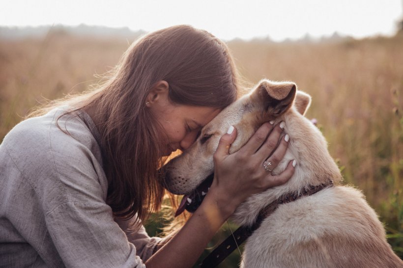 PET POWERS: 9 CRAZY BENEFITS OF HAVING PETS/DOGS