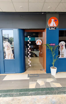 KITMEER PET CLINIC AND DIAGNOSTIC CENTRE